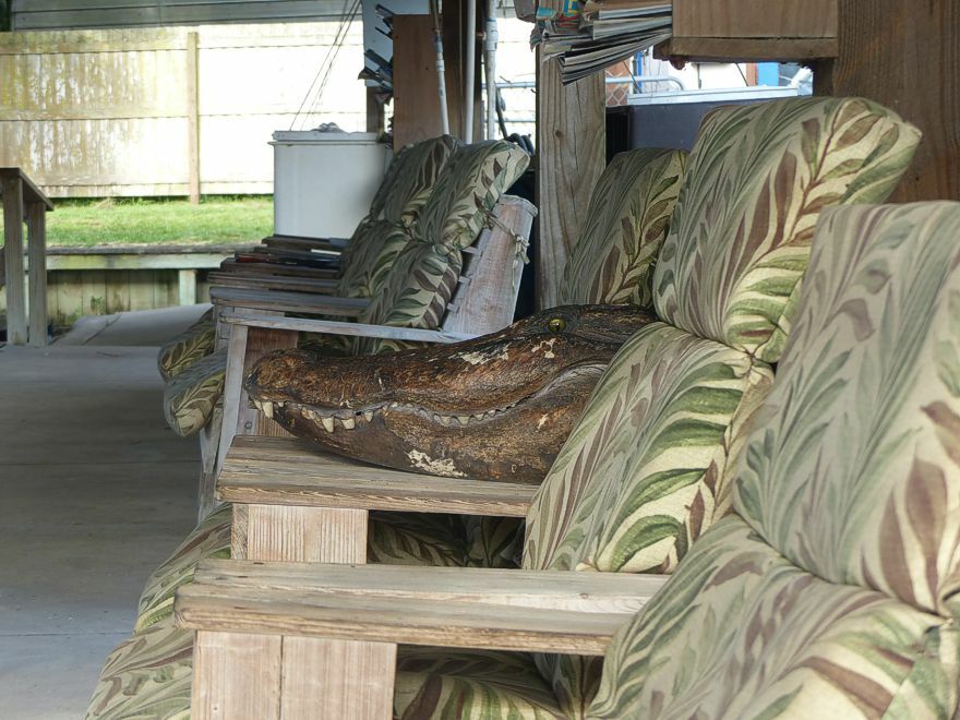 Click to See Next Image